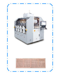 MYL10 Image